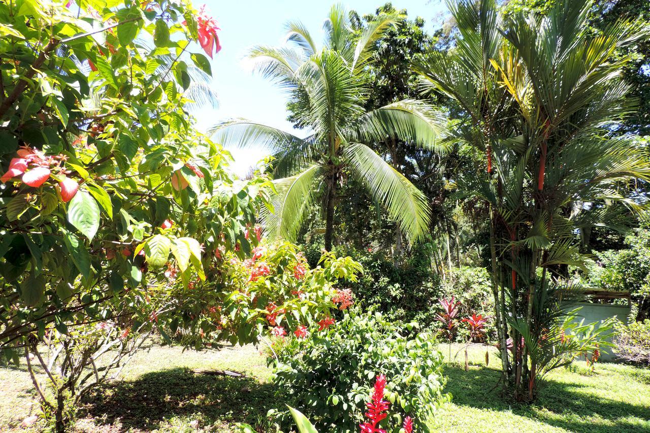 Rosa Lodge Cahuita Ngoại thất bức ảnh