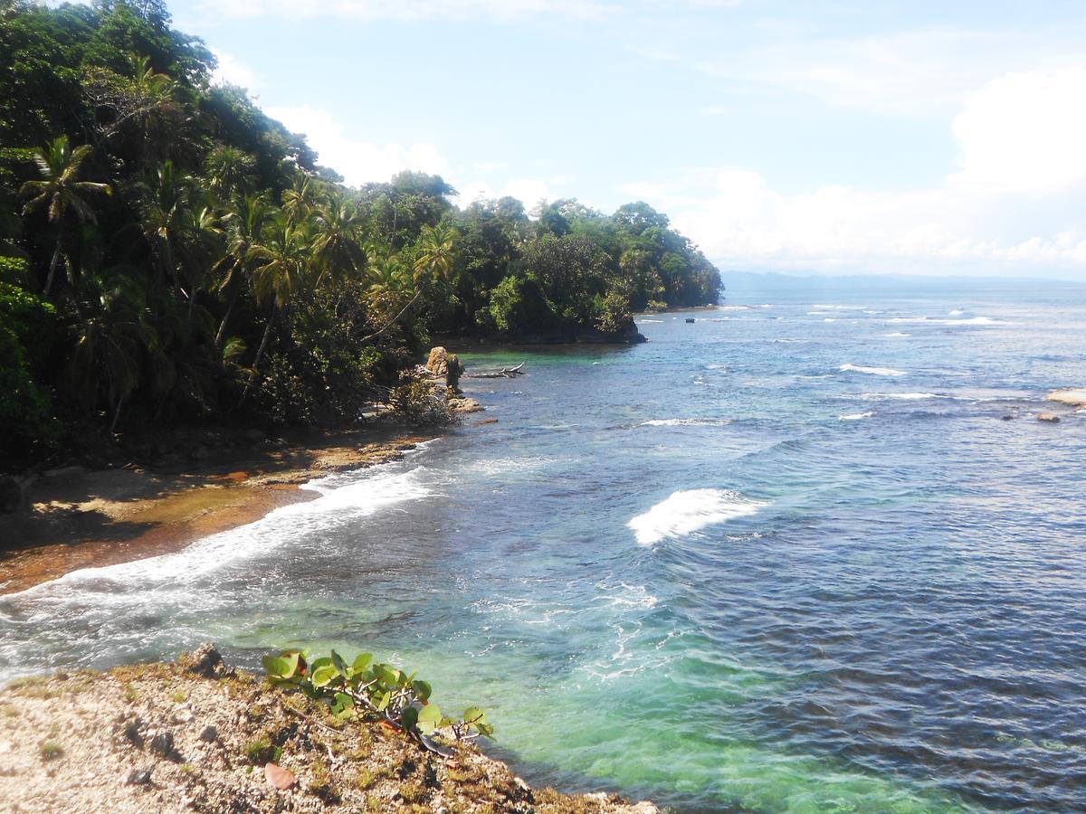 Rosa Lodge Cahuita Ngoại thất bức ảnh