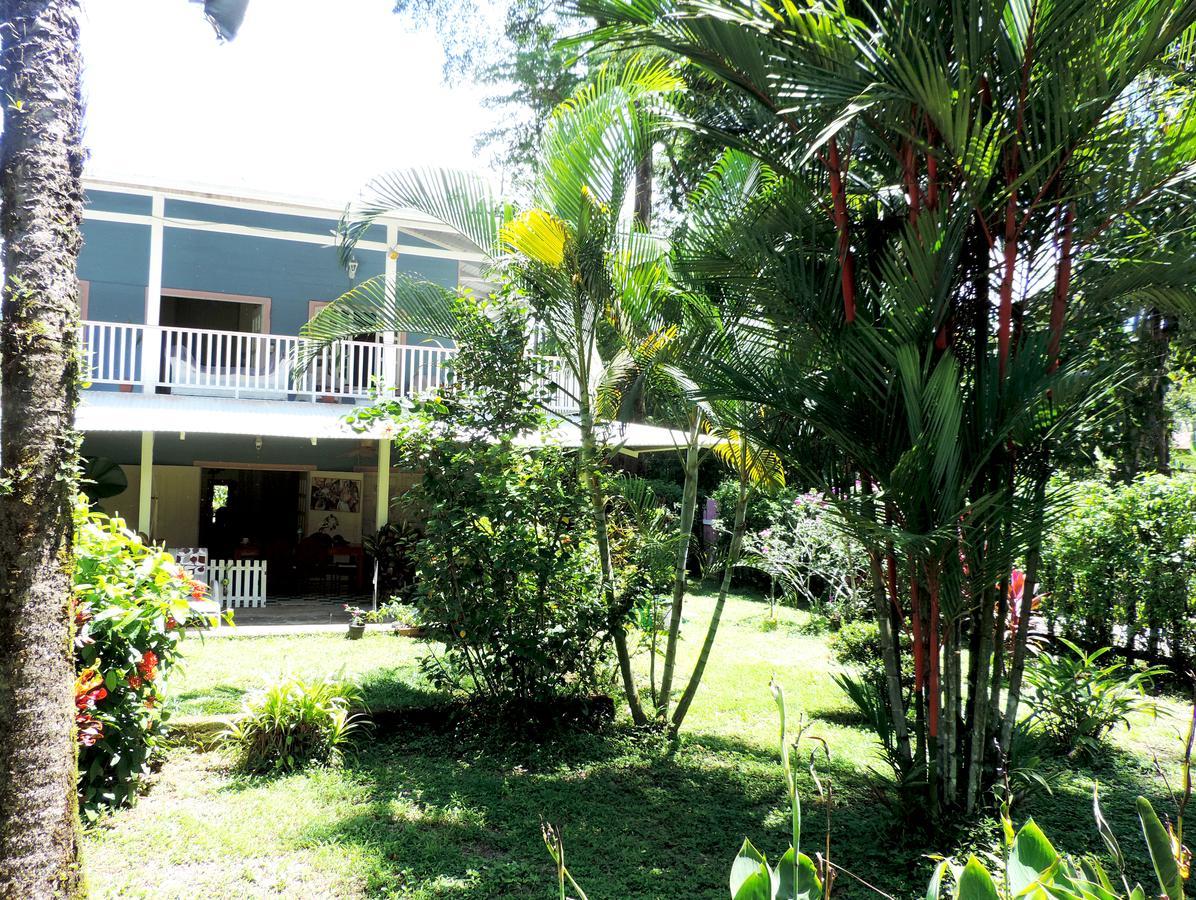 Rosa Lodge Cahuita Ngoại thất bức ảnh