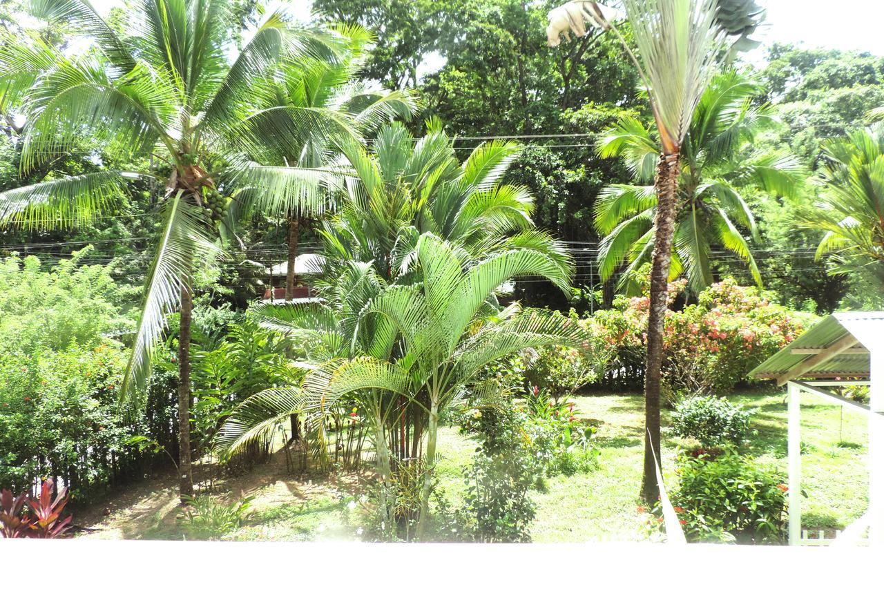 Rosa Lodge Cahuita Ngoại thất bức ảnh