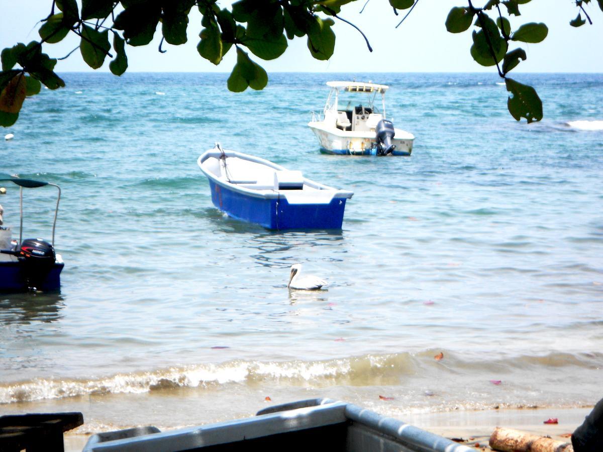 Rosa Lodge Cahuita Ngoại thất bức ảnh