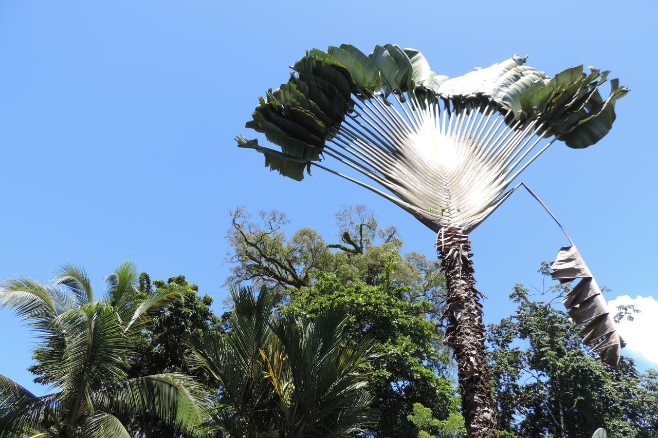 Rosa Lodge Cahuita Ngoại thất bức ảnh