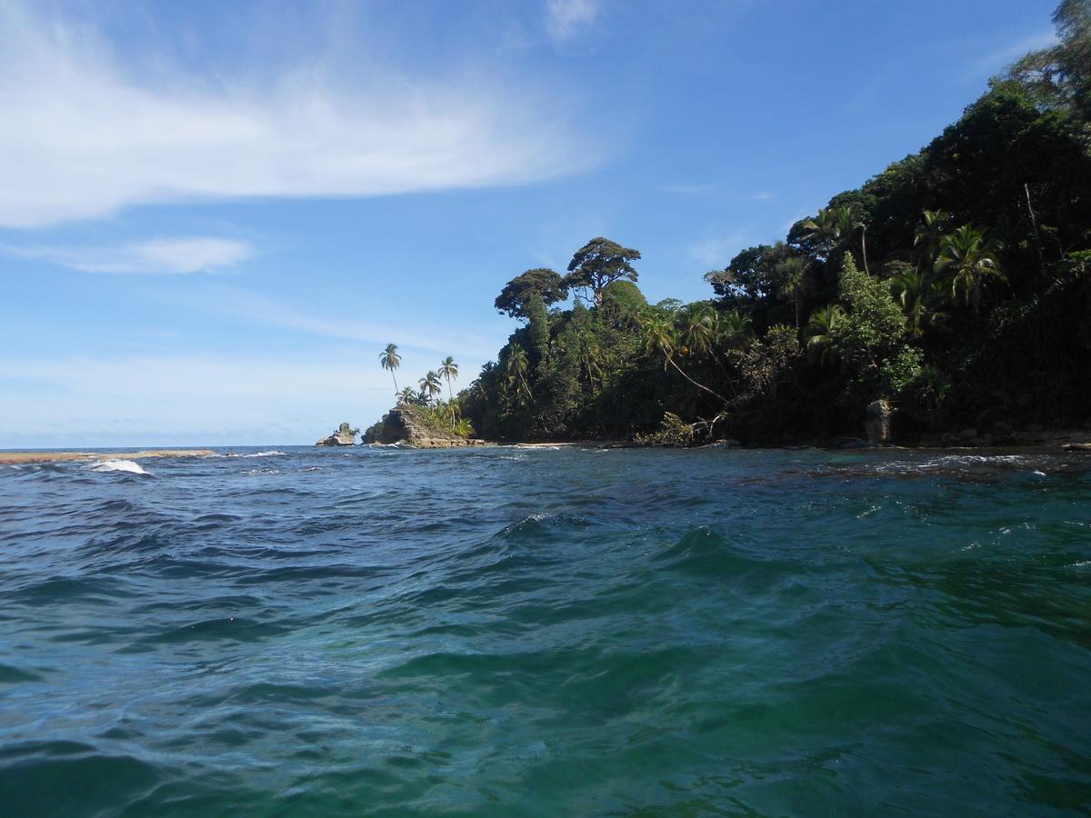 Rosa Lodge Cahuita Ngoại thất bức ảnh